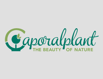 Caporalplant